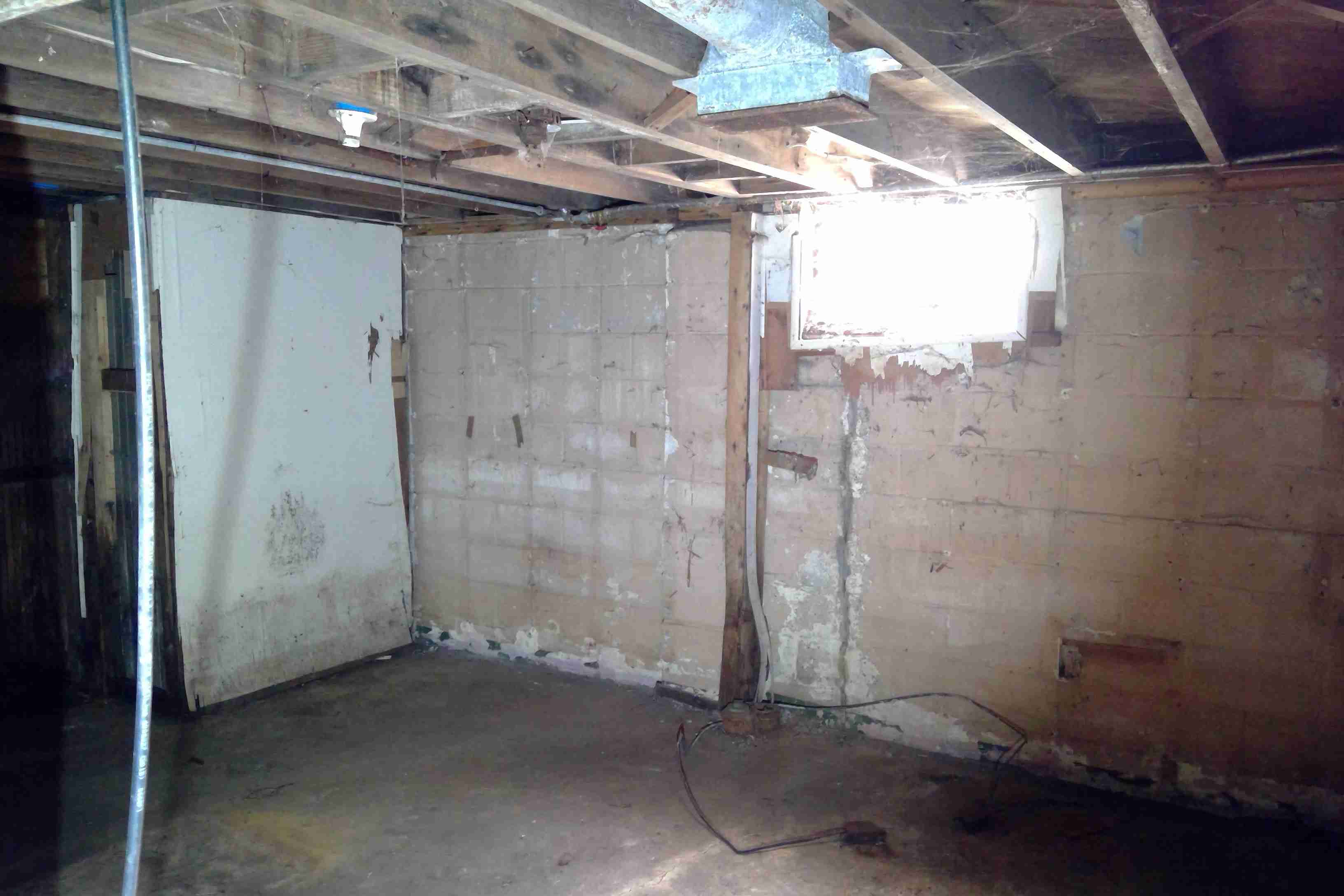 heyden (52)_edited.jpg